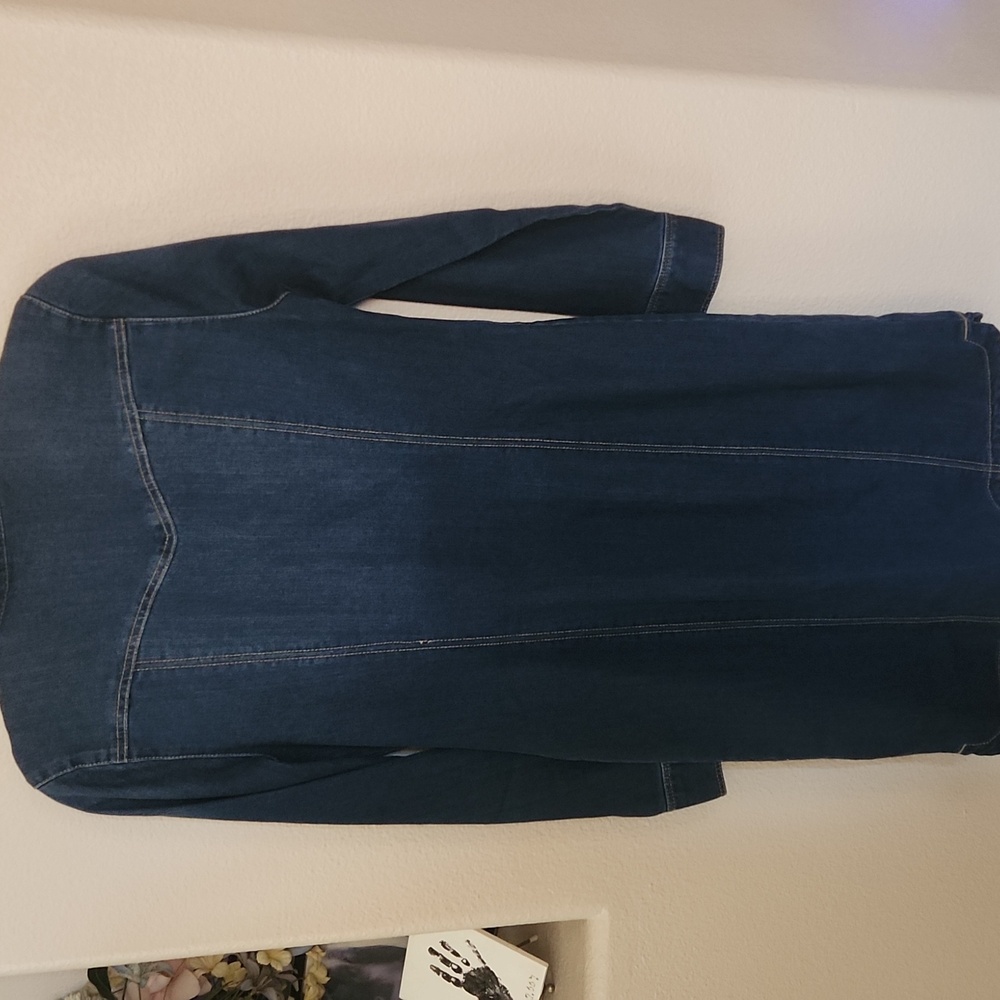 Denim Button-Up Dress - Picture 4 of 4